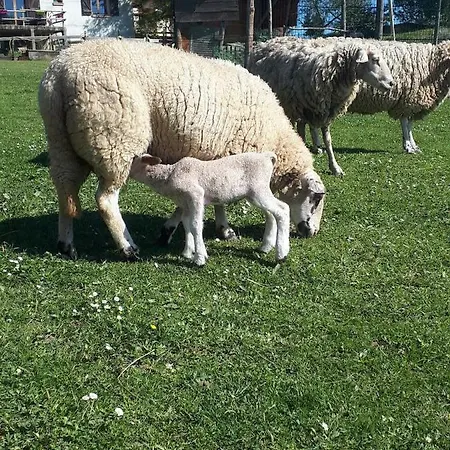 Farmház Asinerie D'en Manaou