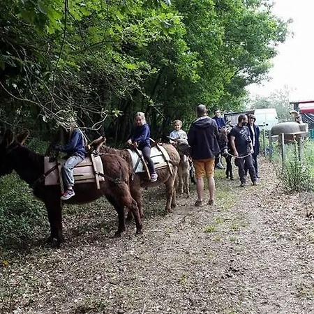 Asinerie D'en Manaou Farmház *